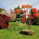 Amazing Ctr * Brion